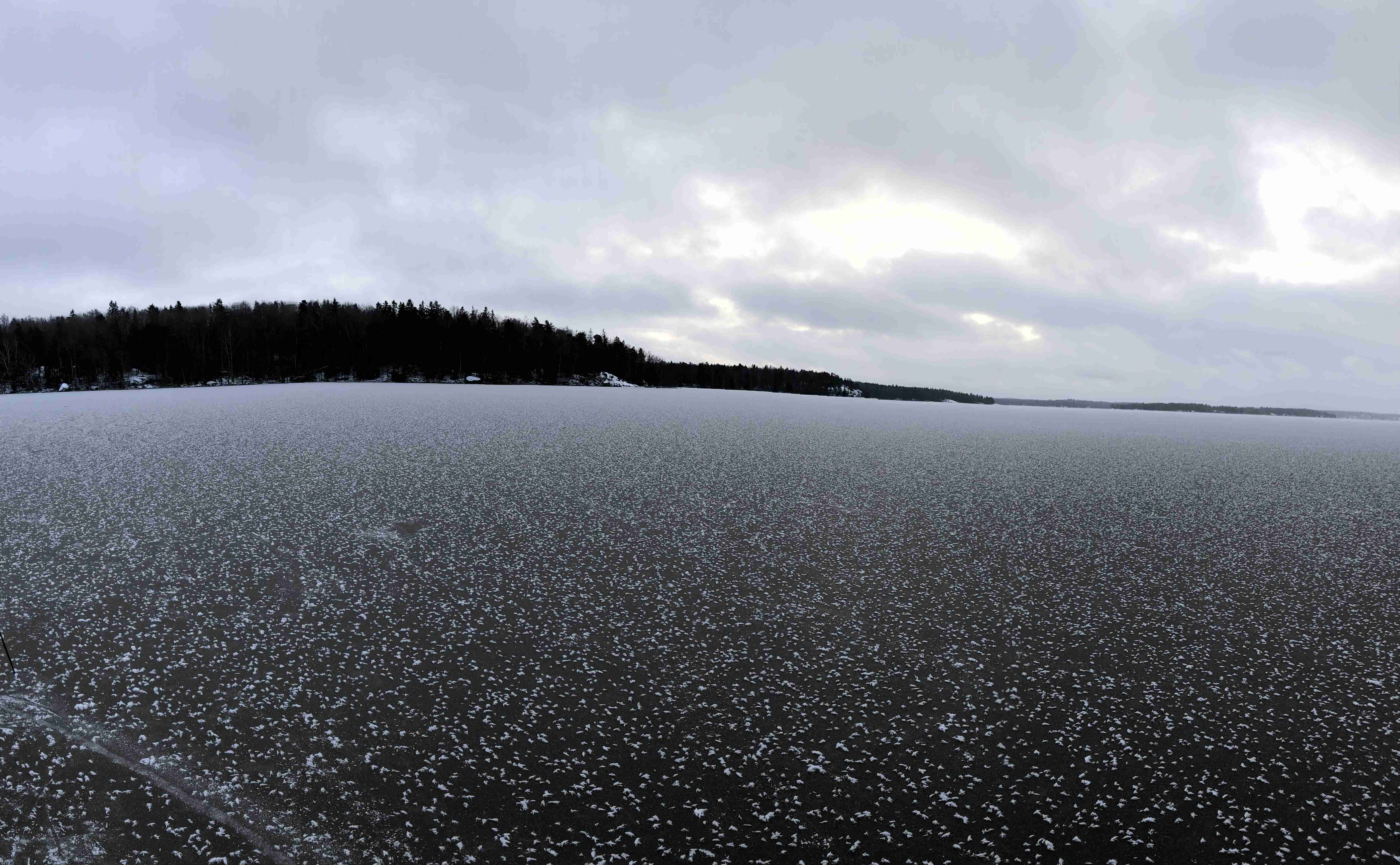 Ice cover on lake Mälaren